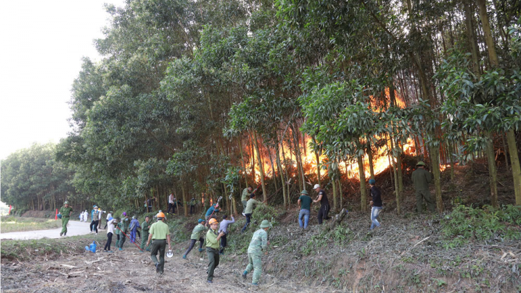 Bắc Giang chủ động phòng chống cháy rừng từ đầu mùa khô (27/10/2023)