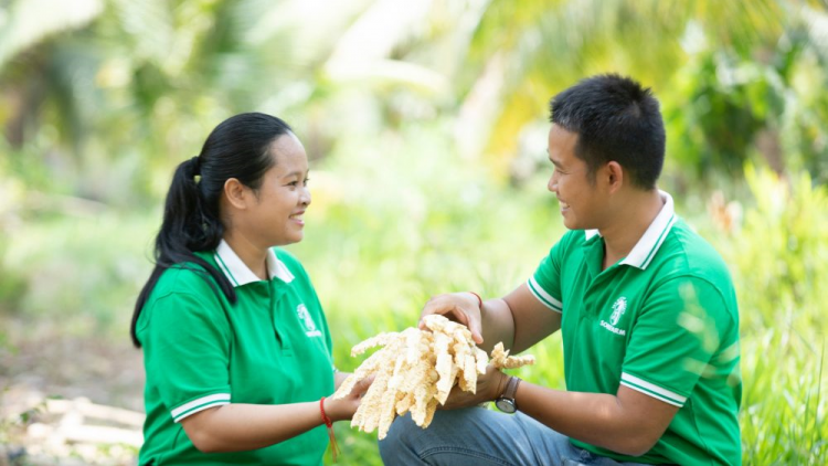 Đôi vợ chồng trẻ đưa mật hoa dừa Việt Nam vươn ra thế giới (5/10/2023)