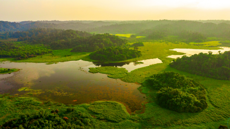 Việt Nam quy hoạch nhằm tăng thêm các khu Ramsar (17/02/2023)