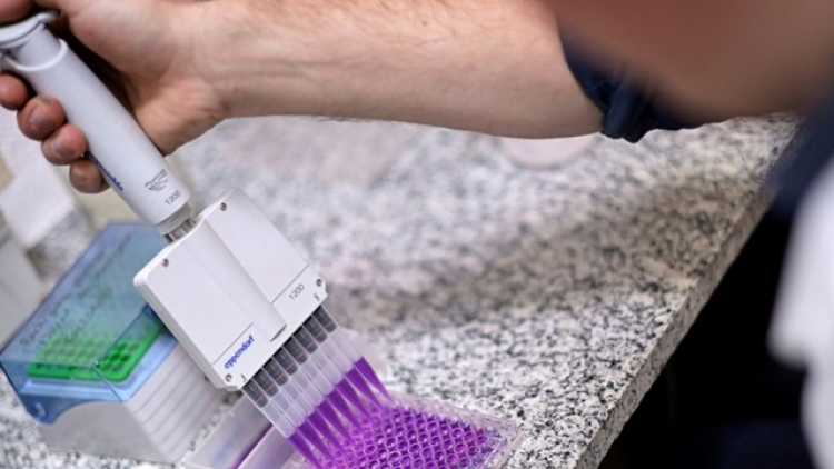 Brazil phát triển vaccine chống nghiện cocaine (27/10/2023)