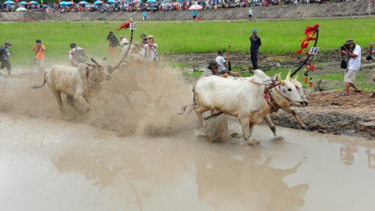 An Giang: tổ chức nhiều hoạt động văn hóa, thể thao dịp lễ Senl Đolta của đồng bào Khmer (03/10/2023)