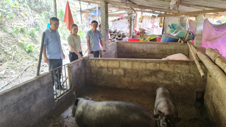 Tỉnh nghèo nguy cơ trả lại Trung ương hàng trăm tỉ đồng vốn chương trình Mục tiêu Quốc gia (27/10/2023)