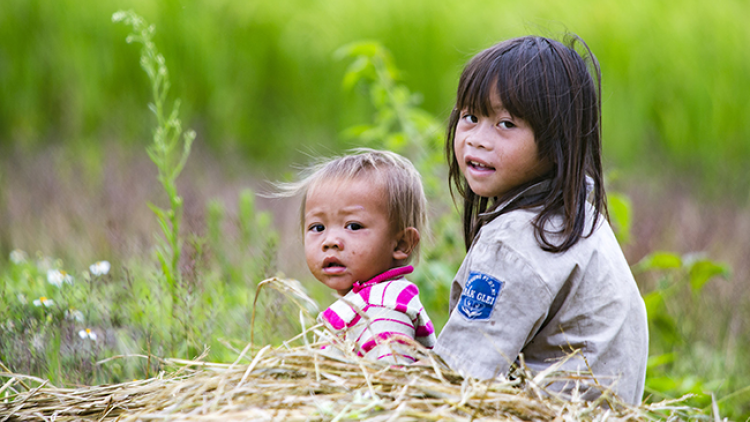 Tìm giải pháp cải thiện tình trạng suy dinh dưỡng ở trẻ dưới 5 tuổi vùng khó khăn (28/10/2023)