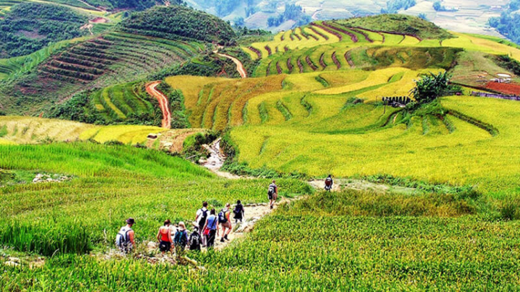 Lào Cai đa dạng hóa các sản phẩm du lịch (23/11/2023)
