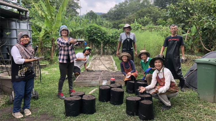 Mô hình Vườn cây cộng đồng nở rộ tại Malaysia (22/11/2023)