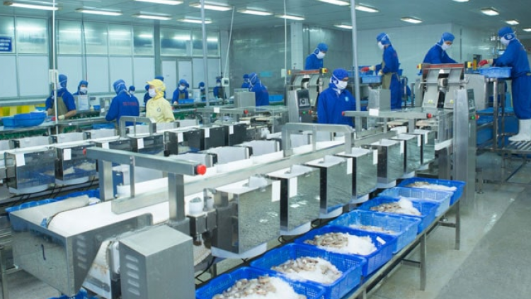 Đà Nẵng: Cuối năm lặp lại tình trạng thiếu hụt lao động phổ thông (24/11/2023)