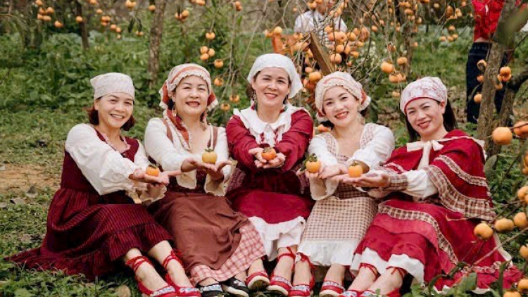 Cao nguyên Mộc Châu đẹp diệu kỳ trong mùa hồng chín (10/11/2023)