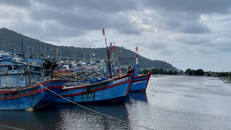 Bà Rịa – Vũng Tàu không để phát sinh điểm nóng gây ô nhiễm môi trường (11/11/2023)