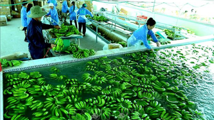 Sáng 24/11/2023 sẽ diễn ra Diễn đàn Xúc tiến xuất khẩu 2023 với chủ đề “Xúc tiến xuất khẩu xanh” tại Hà Nội (22/11/2023)