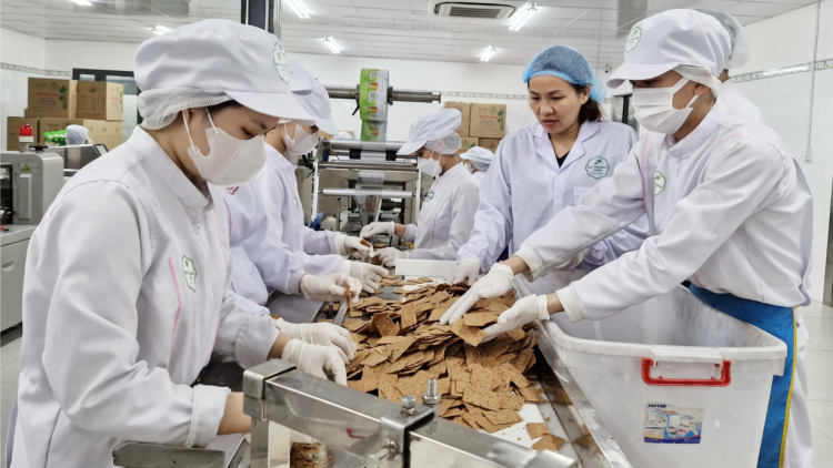 Nhiều sản phẩm OCOP Đà Nẵng vươn tầm xuất ngoại (13/12/2023)