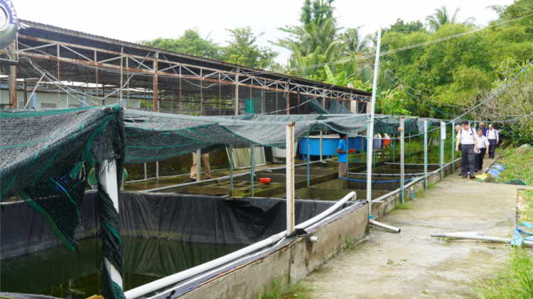 Sản xuất “xanh” lương thực, thực phẩm: Chập chững bước đi ban đầu (26/12/2023)