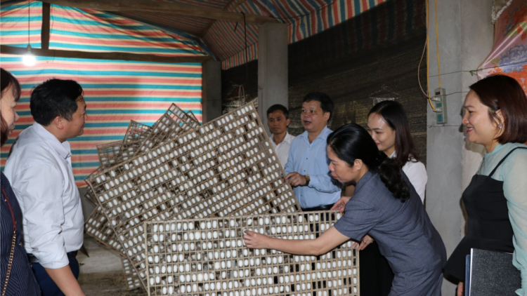 Nông nghiệp Yên Bái một năm vượt khó (30/12/2023)