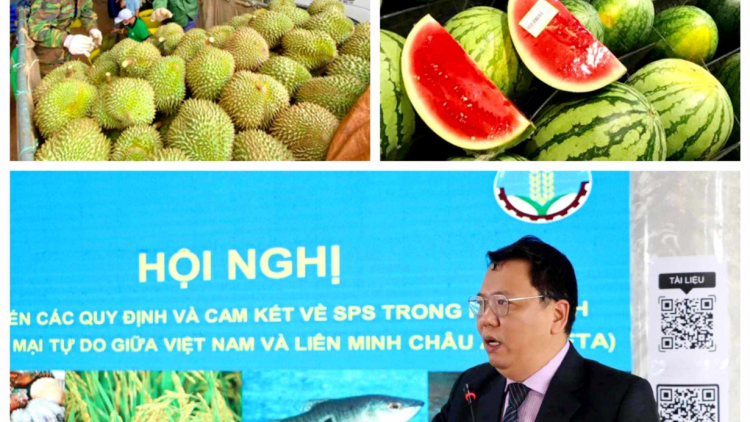 Tiềm năng và thách thức khi xuất khẩu nông sản vào thị trường Trung Quốc (28/12/2023)