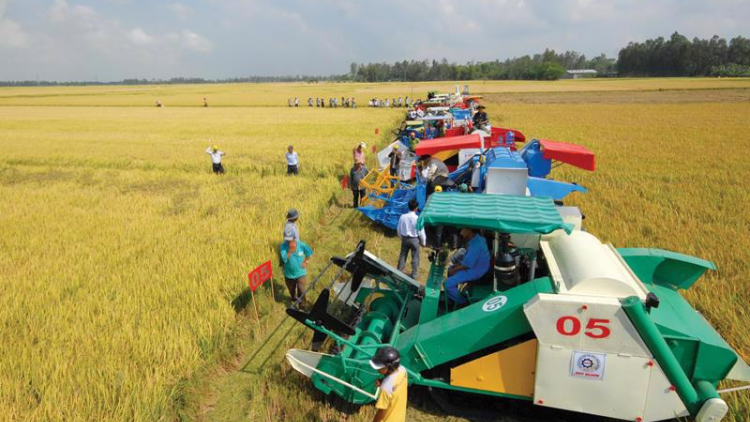 THỜI SỰ 21H30 ĐÊM 23/12/2023: Vượt qua khó khăn, thử thách, ngành nông nghiệp vẫn tiếp tục khẳng định vị thế là trụ đỡ của nền kinh tế, đảm bảo vững chắc an ninh lương thực quốc gia và tiếp tục duy trì đà tăng trưởng cao