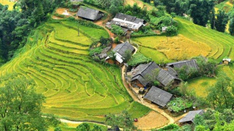 Ý Tý vẻ đẹp tiềm ẩn (30/11/2023)
