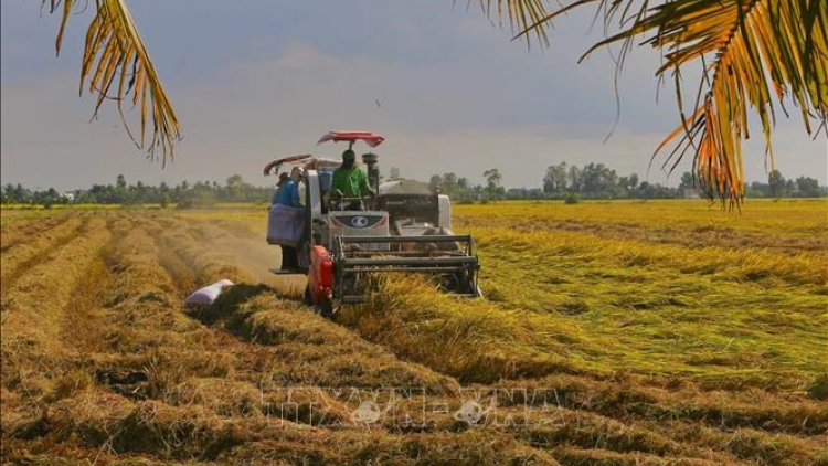 THỜI SỰ 21H30 ĐÊM 3/12/2023: Tốc độ tăng trưởng kinh tế (GRDP) của tỉnh Hậu Giang năm nay dẫn đầu khu vực ĐBSCL và xếp thứ 2 cả nước.