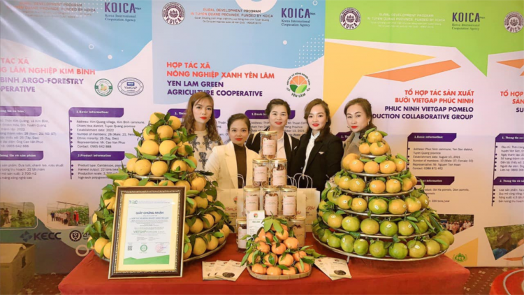 Hướng đi hiệu quả cho những vườn cam ở Hàm Yên, Tuyên Quang (23/2/2023)