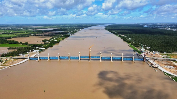 Đồng bằng sông Cửu Long - nhiều giái pháp ứng phó mặn xâm nhập (09/02/2023)