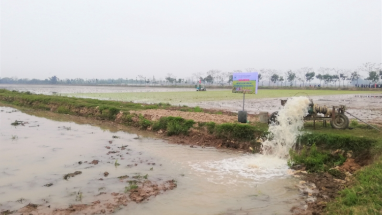 Hà Nội: linh hoạt đổ ải trong điều kiện khó khăn về nguồn nước (4/2/2023)
