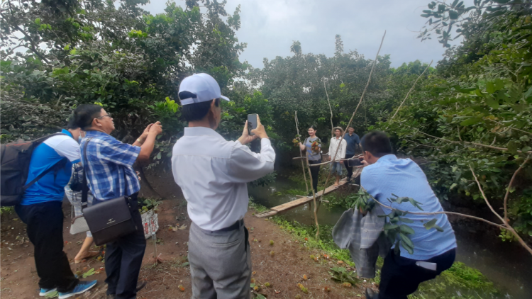 Vĩnh Long ban hành đề án phục hồi kinh tế sau đại dịch Covid 19 (26/2/2023)