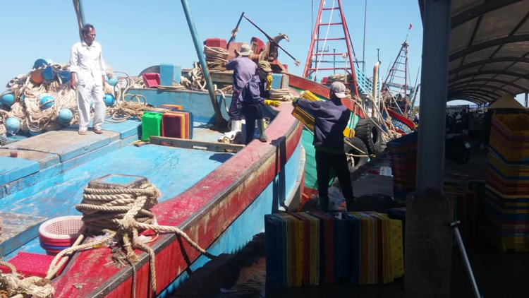 Bến Tre: Quyết tâm không để tàu cá vi phạm IUU (13/2/2023)