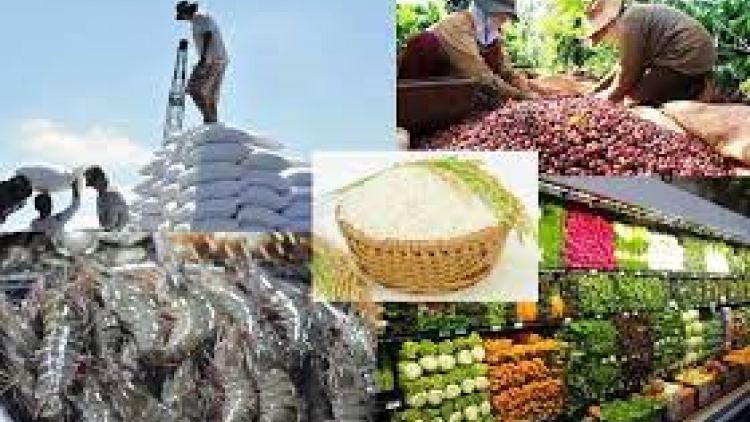 Thúc đẩy xuất khẩu rau quả: thường xuyên cập nhật yêu cầu từ các thị trường nhập khẩu (19/2/2023)