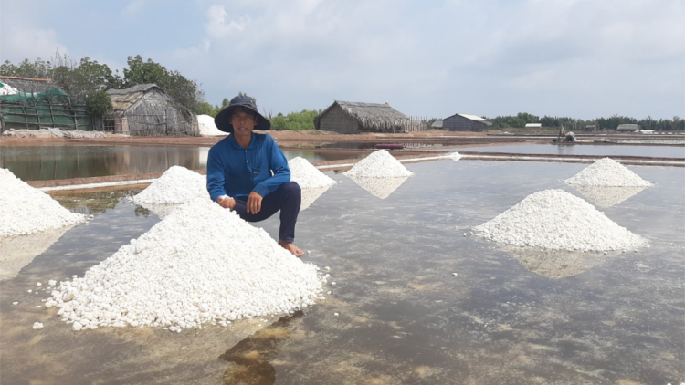 Bến Tre: Muối  thương phẩm đạt giá kỷ lục nhưng thất mùa (03/2/2023)