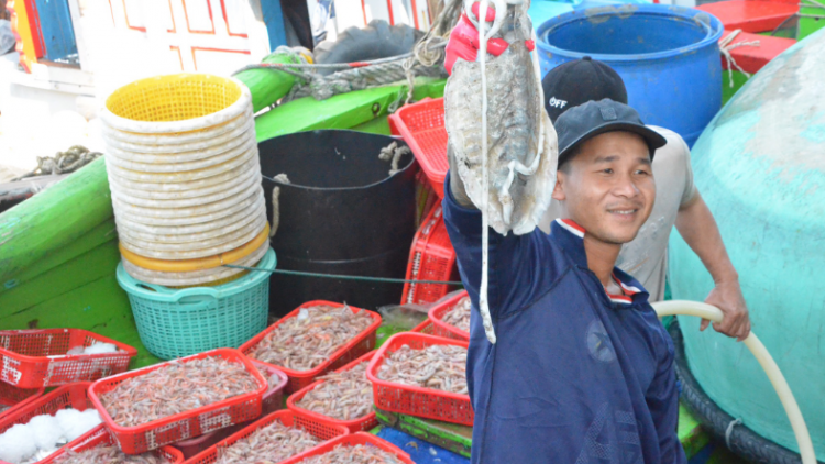 Ngư dân miền Trung rộn ràng chuyến biển đầu năm (02/1/2023)