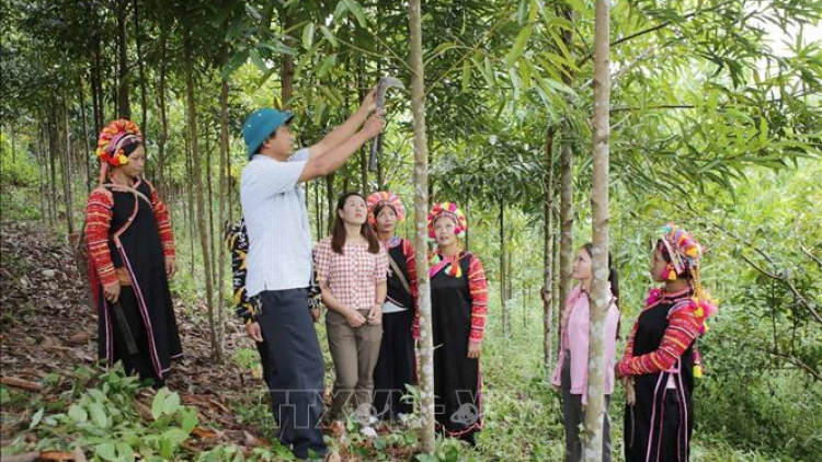 Chuyện thoát nghèo của người La Hủ - vùng cao Lai Châu (28/2/2023)