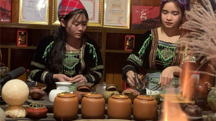 Thưởng trà cổ thụ trên đỉnh mờ sương (20/2/2023)