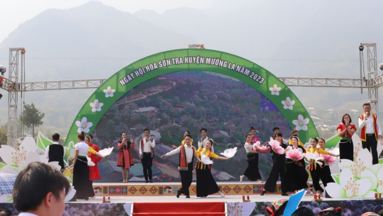 Ấn tượng Ngày hội Hoa Sơn tra (18/3/2023)