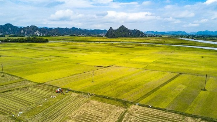 Tạo bứt phá cho ngành nông nghiệp nhờ khoa học công nghệ (05/03/2023)