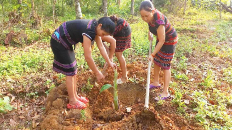 Vùng cao A Lưới nỗ lực giảm nghèo bền vững (12/3/2023)