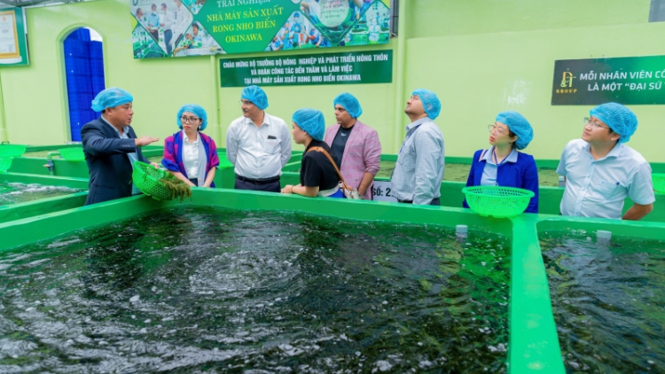 Khánh Hòa duy trì khách du lịch trong mùa thấp điểm (8/3/2023)