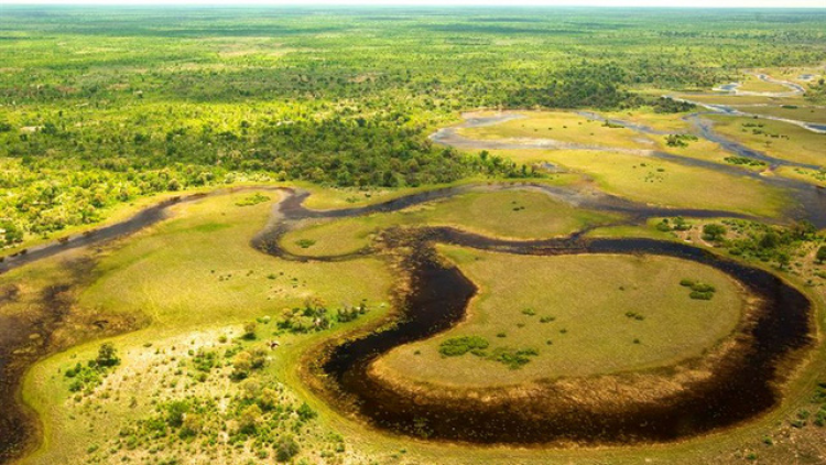 Khám phá đồng bằng Okavango - ốc đảo diệu kỳ của châu Phi (18/03/2023)