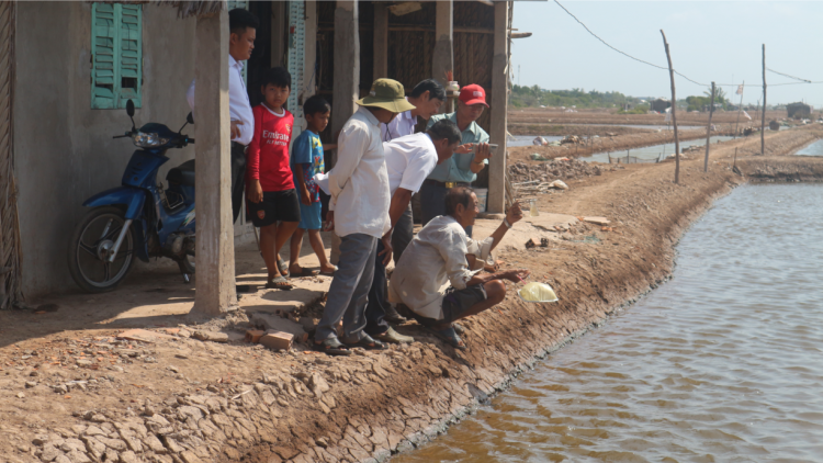 Sóc Trăng: sản xuất Artemia ngày càng gặp khó (13/3/2023)