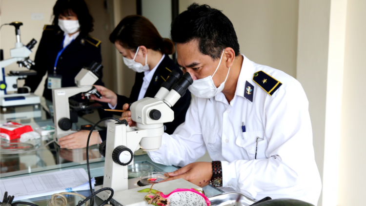 Lạng Sơn: Xuất khẩu nông sản tăng mạnh dịp đầu năm (06/3/2023)