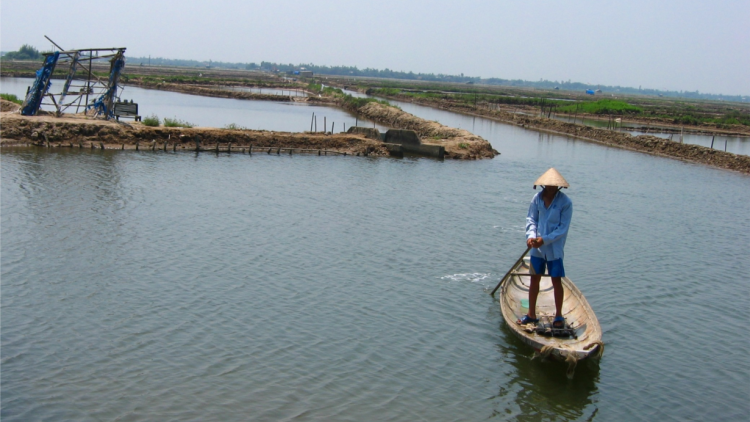 Thừa Thiên Huế: Phát triển hệ đầm phá Tam Giang - Cầu Hai trở thành “Công viên đầm phá Quốc gia” (28/3/2023)