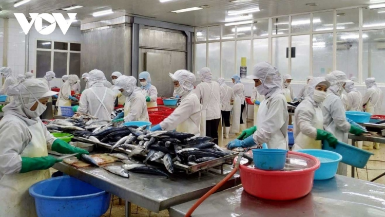 Xuất khẩu thủy sản quí I/2023 sụt giảm do đâu (22&23/04/2023)
