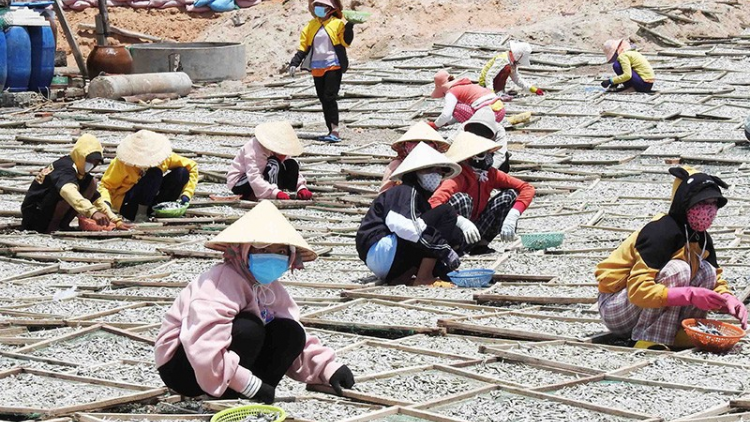 Hiệu quả đào tạo nghề và tạo việc làm cho lao động nông thôn ở Ninh Thuận (24/4/2023)