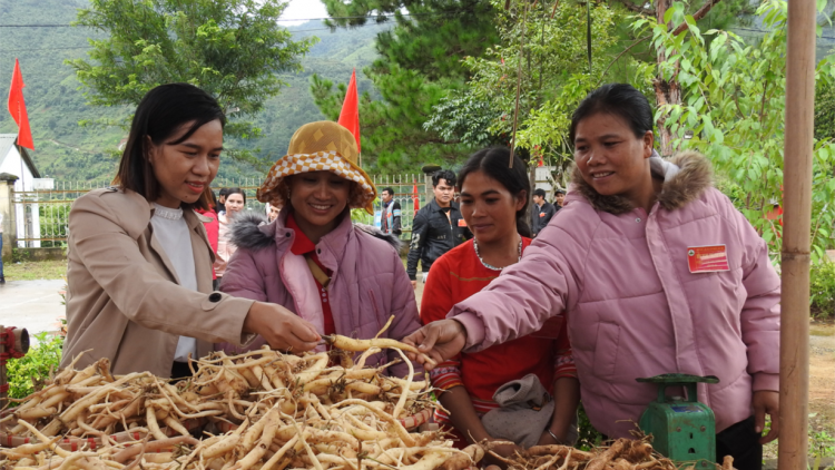 Bài 2 Loạt bài "Sửa đổi Luật HTX, mở cánh cửa cho HTX vươn xa" - “Hoàn thiện thể chế, tạo chuyển biến về chất và lượng cho HTX” (27/04/2023)