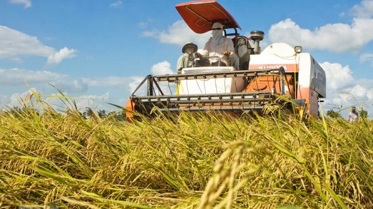 Khát vọng kiến tạo quốc gia nông nghiệp (29+30/04/2023)