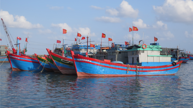 Quảng Ngãi: “Đi từng ngõ, gõ từng tàu”, tập trung gỡ thẻ vàng EC (13/4/2023)