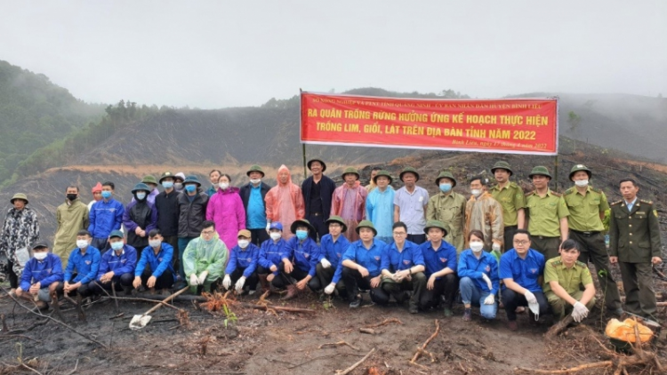 Màu xanh bền vững từ những cánh rừng gỗ lớn (6/5/2023)