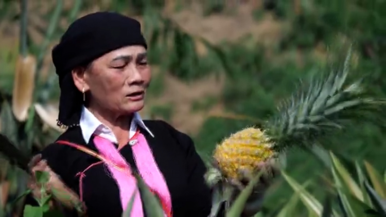 Nữ Đảng viên người Dao- 20 năm dẫn lối khai hoang (17/5/2023)