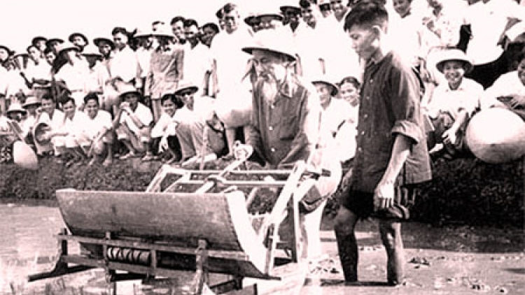 Tư tưởng của Chủ tịch Hồ Chí Minh về phát triển nông nghiệp, nông dân và nông thôn (19/05/2023)