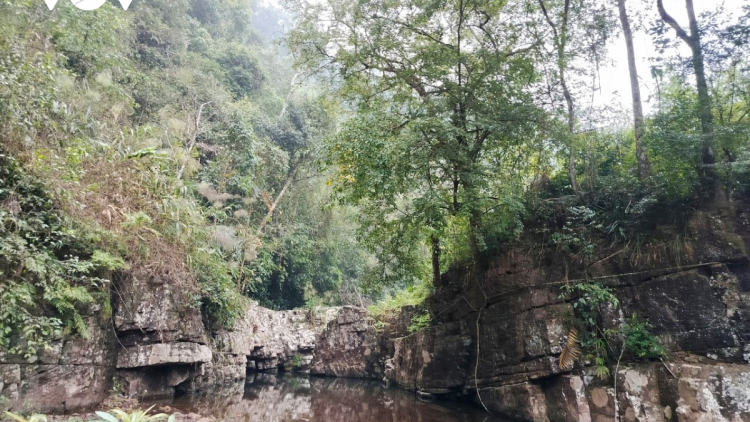 Người Dao ở bản Nà Hắc, Quảng Ninh với tục lệ giữ rừng tự nhiên (11/5/2023)