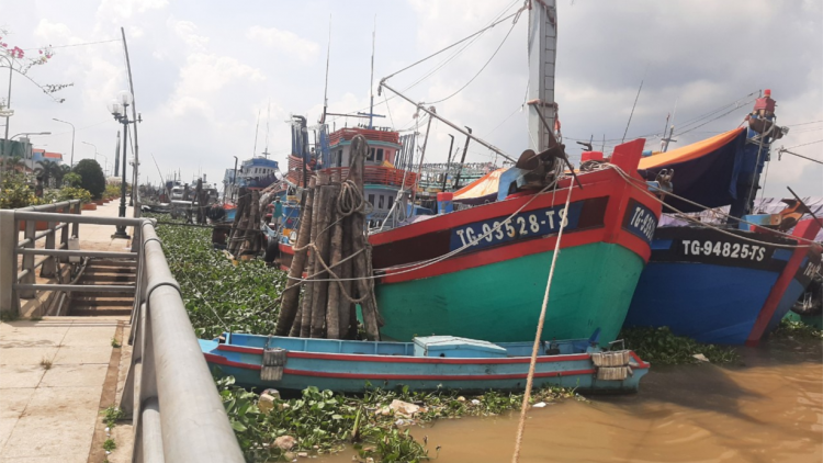 Tiền Giang: Ngư dân chấp hành các quy định chống khai thác thủy sản bất hợp pháp (22/5/2023)