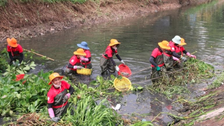 "Bình Dương xanh", những người giúp các dòng sông trong xanh, sạch đẹp hơn.