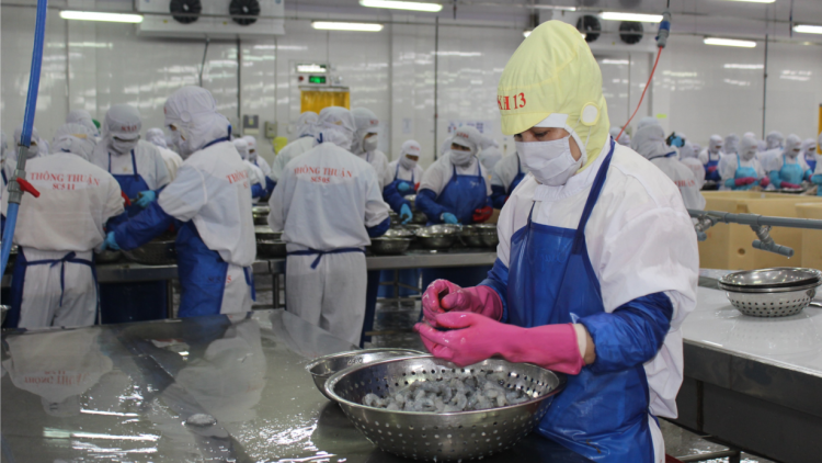 Đơn hàng giảm sút, doanh nghiệp thủy sản cơ cấu lại thị trường xuất khẩu (02/6/2023)